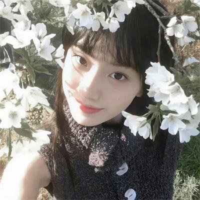 美女冷静我只是个电工